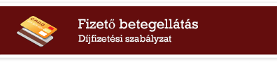 Fizető betegellátás